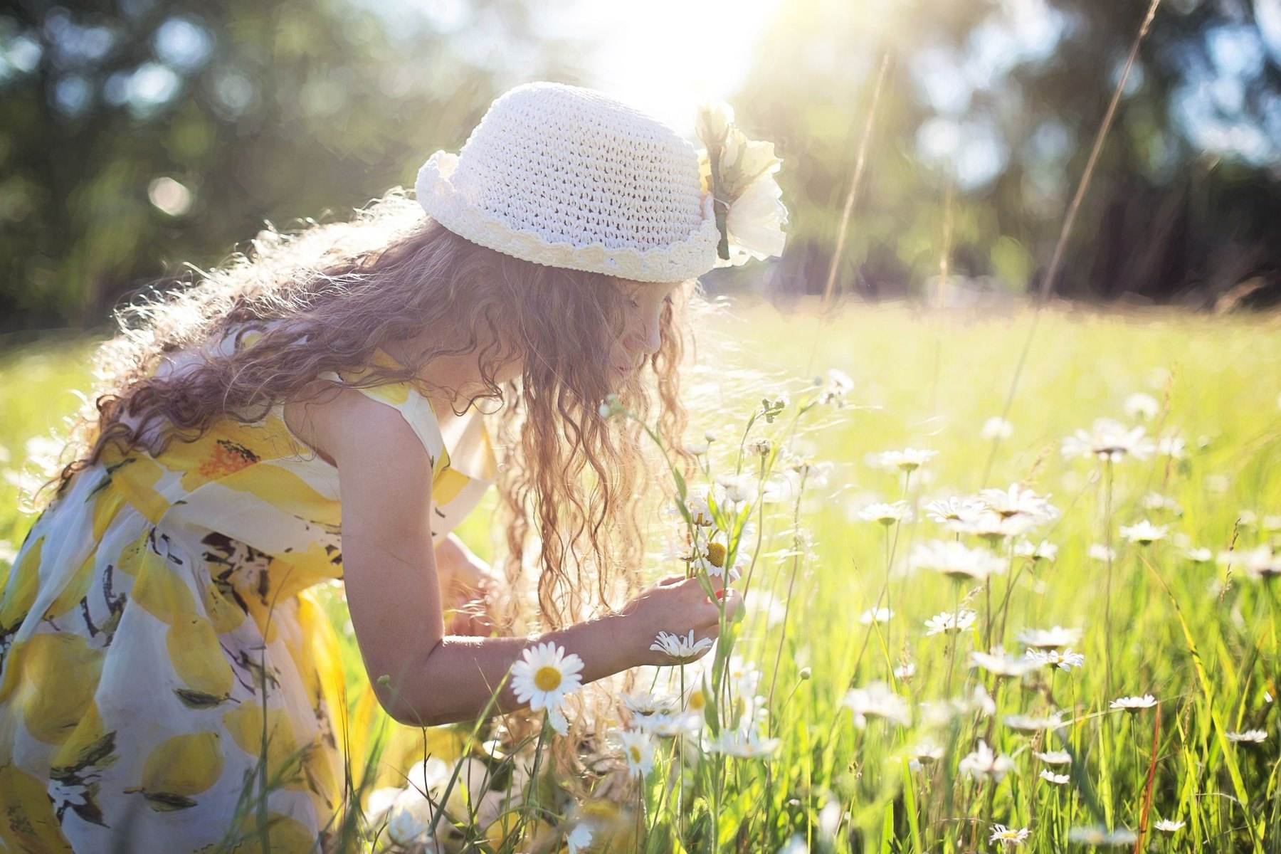 A child picking wildflowers in a sunlit summer meadow