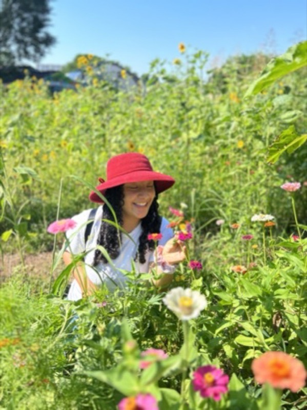 Visitor in a sun hat cutting zinnias and cosmos in the Urban Sprout Farms flower maze